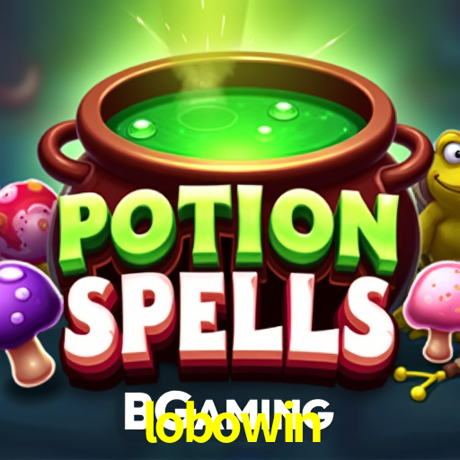 Security Systems lobowin